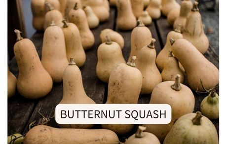 butternut squash