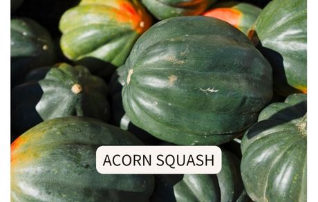 acorn squash