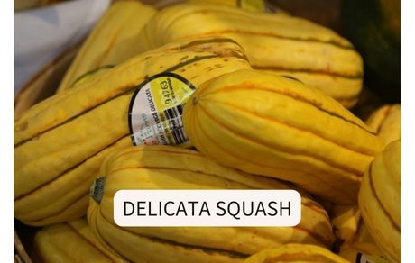 delicata squash