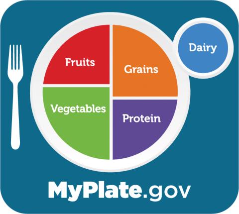 MyPlate showing the five food groups, fruits, vegetables, grains, protein and dairy and URL MyPlate.gov