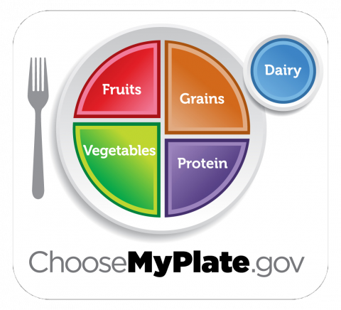 plate split into 4 sections, showing food groups fruits, grains, vegetables, protein and dairy
