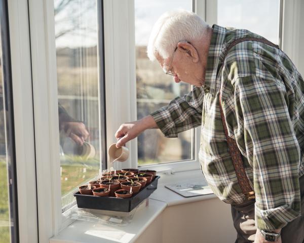 Older man watering plants indoors