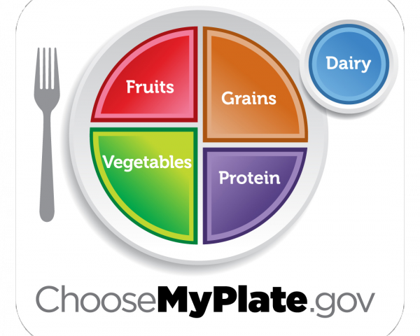 plate split into 4 sections, showing food groups fruits, grains, vegetables, protein and dairy