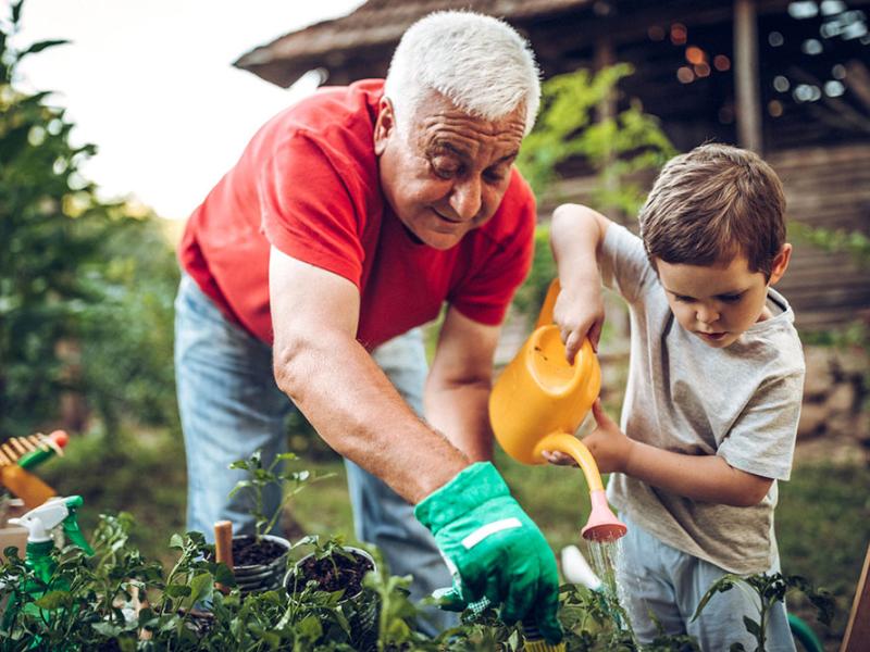 grandfather and grandson gardening