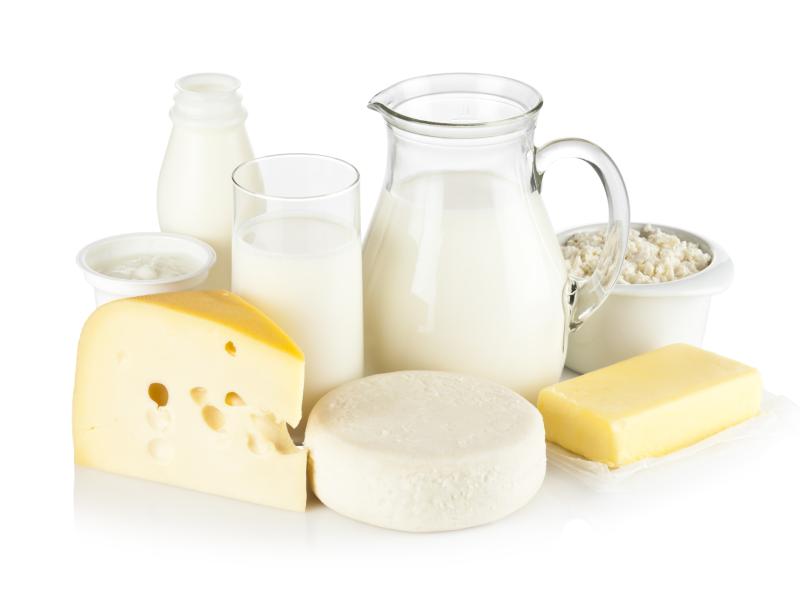 variety of dairy products