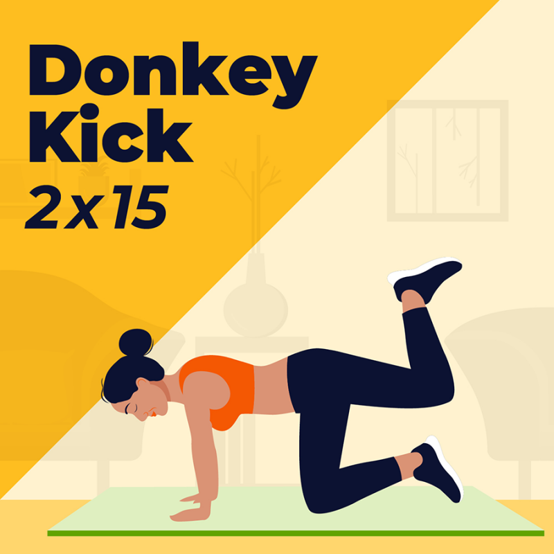 donkey kick illustration
