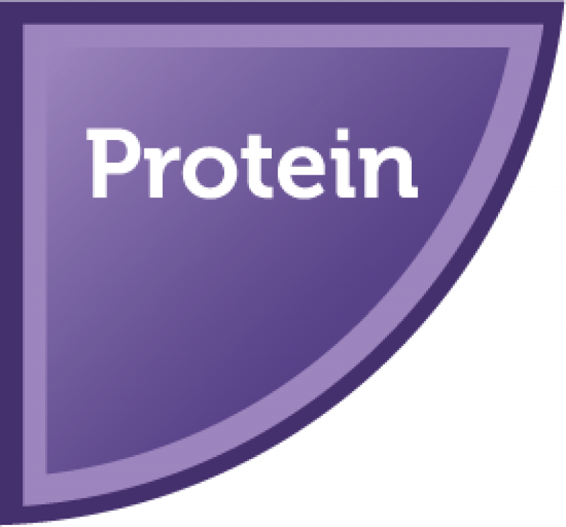 Protein section my plate