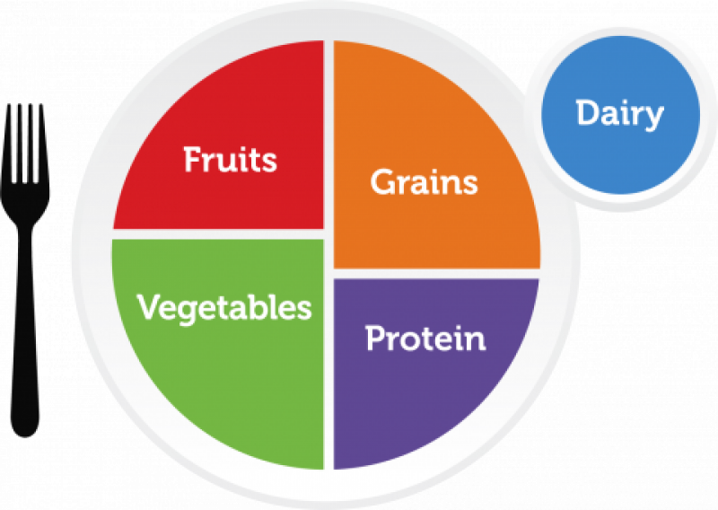 MyPlate: Your Five Food Groups | Illinois Extension | UIUC