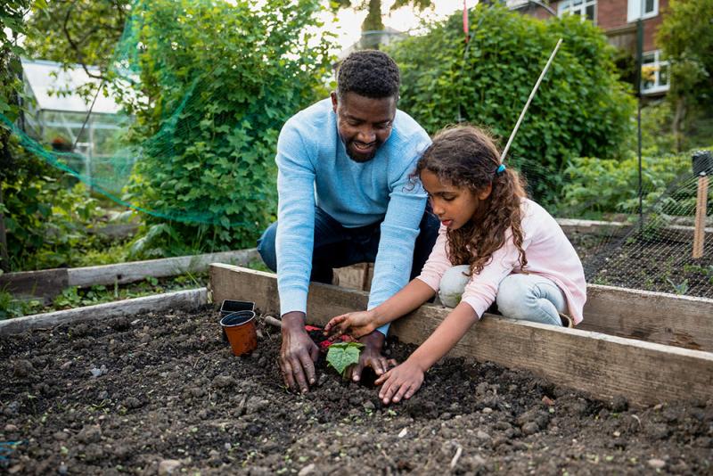 Dad and daughter planting a raised bed