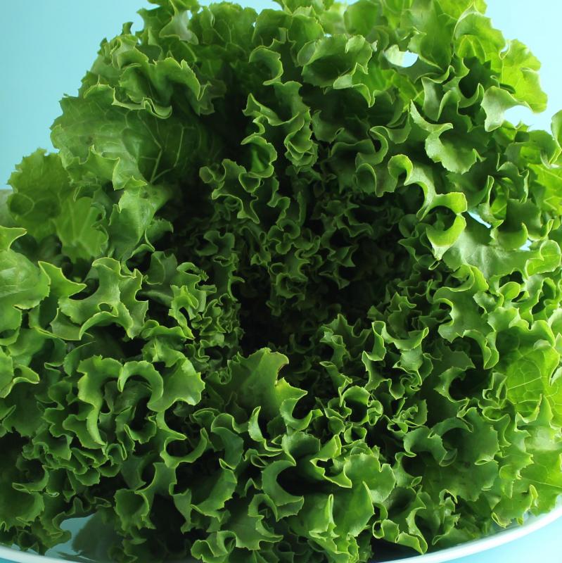 lettuce, Illinois vegetables