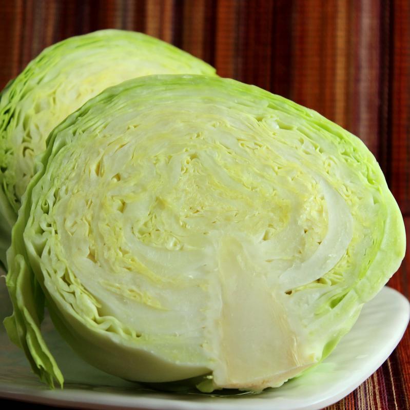 cabbage