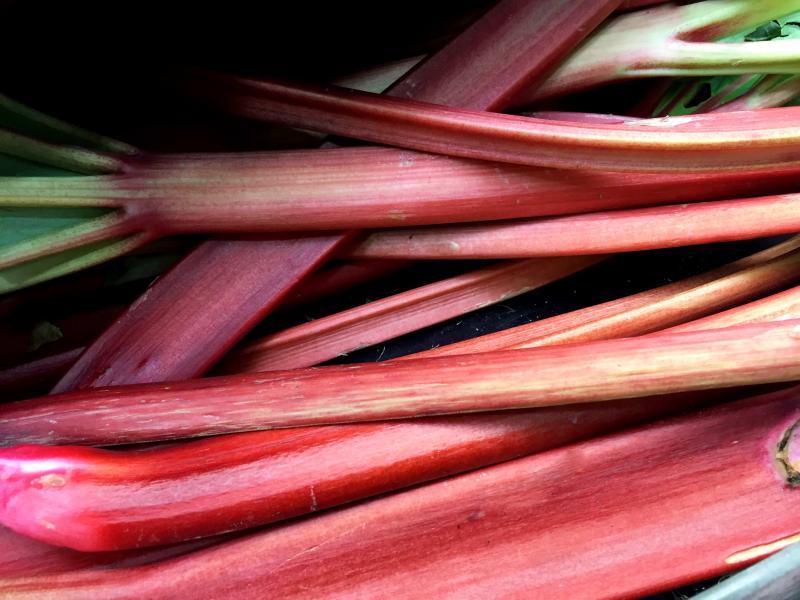 rhubarb